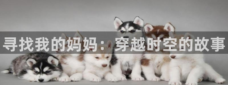 dm5动漫屋：寻找我的妈妈：穿越时空的故事