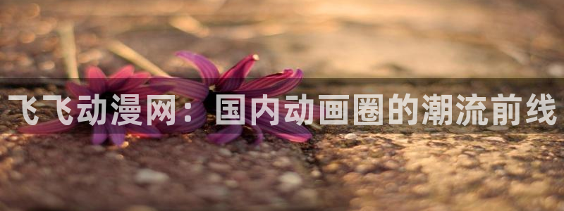 日本动漫屋：飞飞动漫网：国内动画圈的潮流前线